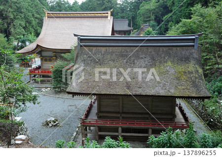 日吉大社　東本宮の社殿 137896255