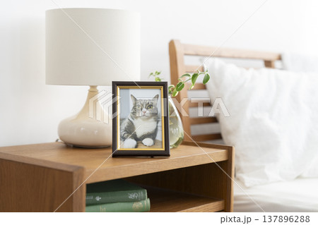 ベッドサイドテーブルに置かれた猫の写真 137896288