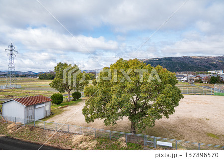近江中庄駅ホームから見下ろすグランド 滋賀県長浜市マキノ町 近江中庄駅ホームから見下ろすグランド 滋賀県長浜市マキノ町 137896570