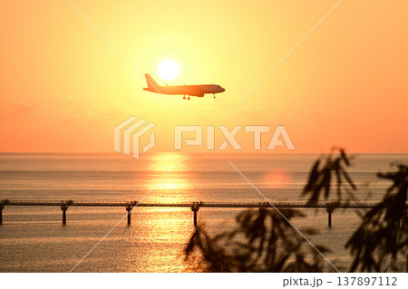 夕暮れの着陸機 夕暮れの着陸機 137897112