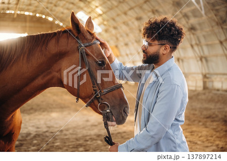 Side view, stroking the animal. Man is with horse in the hangar Side view, stroking the animal. Man is with horse in the hangar 137897214