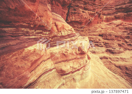 Dry riverbed, wilderness. Desert nature landscape. Sandstone texture. Red Canyon in the Negev Desert near Eilat in Israel 137897471