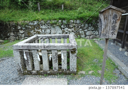 日吉大社　東本宮　亀井霊水 137897541