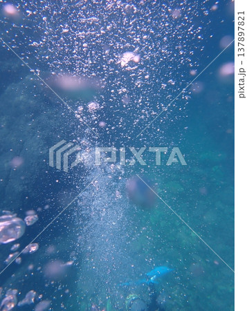 ダイバーが潜る ダイバーが潜る 137897821