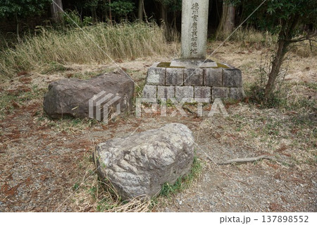 桃配山 137898552