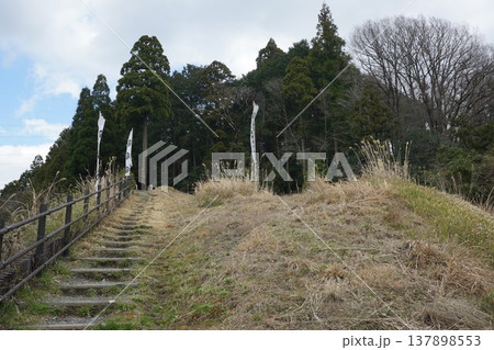桃配山 桃配山 137898553