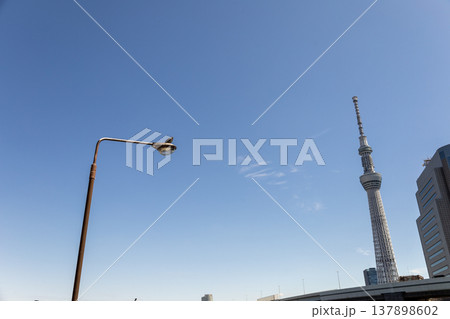 青空と東京スカイツリー　ランプ上の鳩 137898602