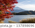 紅葉と富士山 紅葉と富士山 137898696