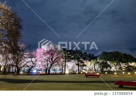 水戸 偕楽園 水戸 偕楽園 137898854