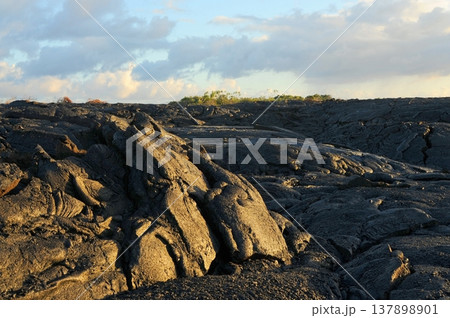 Fresh hardened Lava Kilauea volcano Fresh hardened Lava Kilauea volcano 137898901