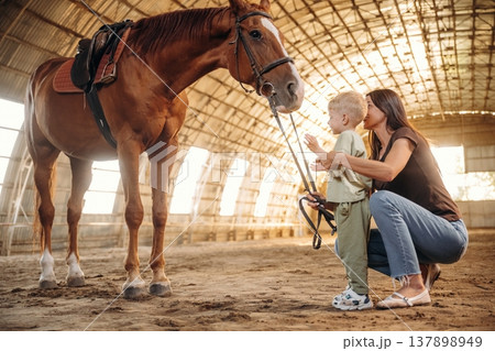 On the ground, standing and looking at animal. Mother and little son are with horse in hangar On the ground, standing and looking at animal. Mother and little son are with horse in hangar 137898949