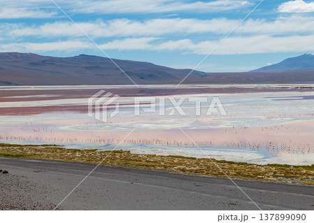 Stunning view of Laguna Colorada red salt lake landscape in Bolivia Stunning view of Laguna Colorada red salt lake landscape in Bolivia 137899090