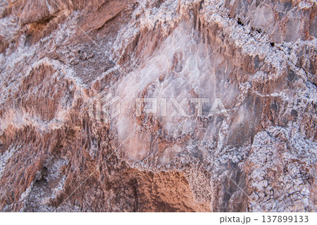 Rugged dinosaur rock with salt crystal in Valle de la Luna Chile 137899133