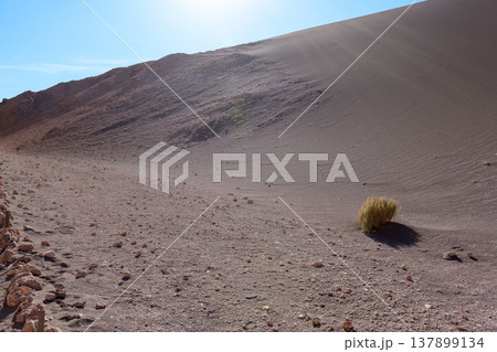 Awe inspiring vast desert landscape of Valle de la Luna in Chile Awe inspiring vast desert landscape of Valle de la Luna in Chile 137899134