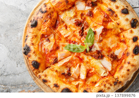 Hot Italian pizza with smoked chicken, brie cheese and sun-dried tomatoes close-up on a wooden board. Horizontal top view Hot Italian pizza with smoked chicken, brie cheese and sun-dried tomatoes close-up on a wooden board. Horizontal top view 137899876