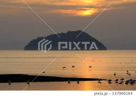 琵琶湖と竹生島の夕日の風景 琵琶湖と竹生島の夕日の風景 137900164
