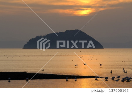琵琶湖と竹生島の夕日の風景 137900165