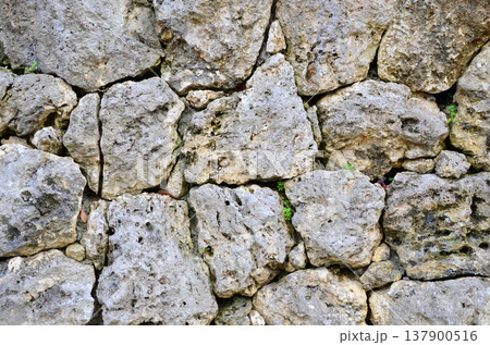 石造りの壁 石造りの壁 137900516