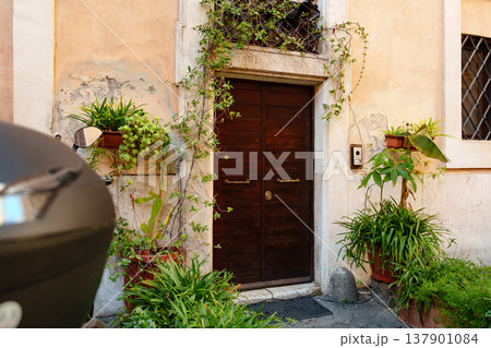Green plants surround a wooden door at a building in an urban area during daytime Green plants surround a wooden door at a building in an urban area during daytime 137901084