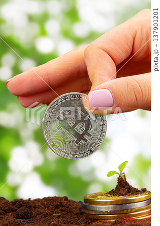 Growing investment by placing a bitcoin on soil with a sprouting plant in the background Growing investment by placing a bitcoin on soil with a sprouting plant in the background 137901201