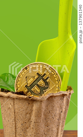 Bitcoin sits in a plant pot with a green shovel on a bright background Bitcoin sits in a plant pot with a green shovel on a bright background 137901340