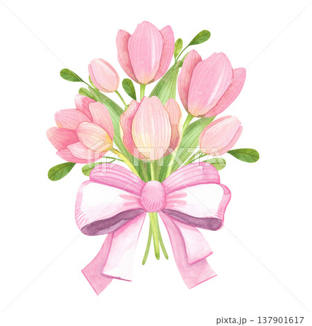 Watercolor illustration of a bouquet of fresh tulips adorned with a bow. Hand drawn pink spring flowers. Watercolor illustration of a bouquet of fresh tulips adorned with a bow. Hand drawn pink spring flowers. 137901617