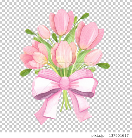 Watercolor illustration of a bouquet of fresh tulips adorned with a bow. Hand drawn pink spring flowers. Watercolor illustration of a bouquet of fresh tulips adorned with a bow. Hand drawn pink spring flowers. 137901617