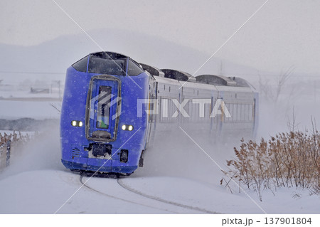 宗谷本線　北比布－蘭留　JR北海道　キハ261系0番台　SE-203編成（苗穂）　スーパー宗谷 137901804