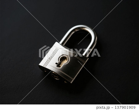 金属の南京錠 金属の南京錠 137901909
