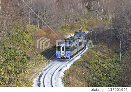 石北本線　生田原－金華（信）　JR北海道　キハ183系（苗穂）　大雪 137901995