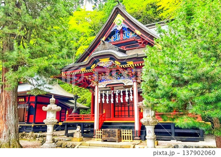 新緑に映える、美しい神社 新緑に映える、美しい神社 137902060
