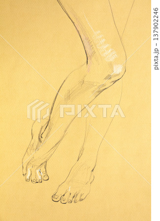 human's figure, pencil drawing illustration, sketch 137902246