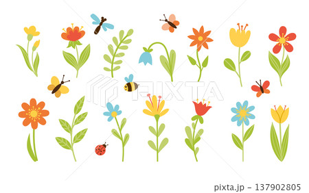 Floral set of flowers, twigs and insects Floral set of flowers, twigs and insects 137902805