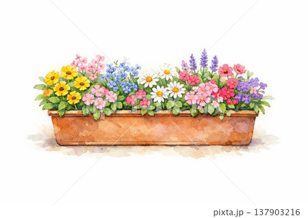 植木鉢シリーズ:花が咲く横長プランター背景 植木鉢シリーズ:花が咲く横長プランター背景 137903216