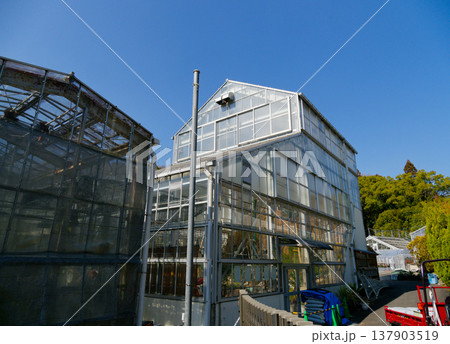 名古屋市東山植物園後館 137903519