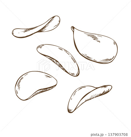 Potato chips set hand drawn illustration in sketch style. Vintage engraved drawing of crispy snack for menu design or food packaging decoration. Natural vegetable snack isolated clip art 137903708