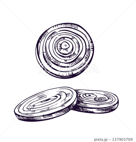 Onion vegetable slices drawn in ink line art style. Hand drawn sketch illustration of sliced onion for culinary menu design, packaging, organic food concept and cooking ingredient. 137903709