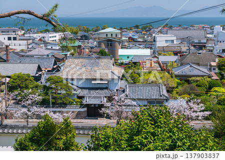 Top view of Shimabara city and sea with cherry blossom in spring 137903837