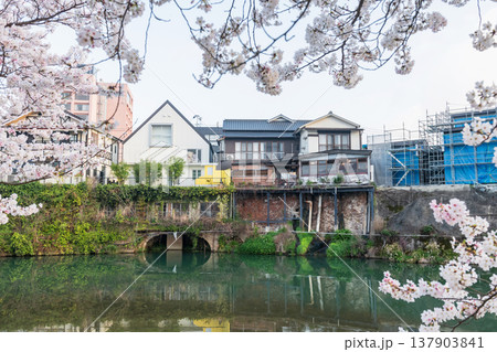 hotel and ryokan with cherry blossom at Ureshino onsen, Saga 137903841