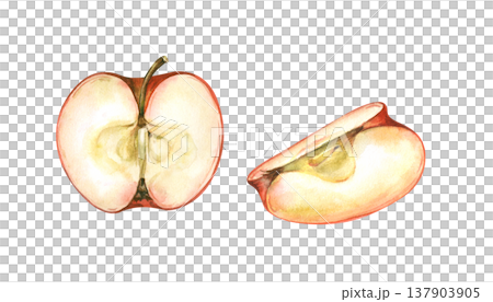 Watercolor drawing with different parts of a cut red apple on an isolated background. Realistic clipart for jam design, baby food, cooking and autumn harvest. Food illustration. Watercolor drawing with different parts of a cut red apple on an isolated background. Realistic clipart for jam design, baby food, cooking and autumn harvest. Food illustration. 137903905