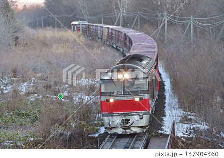 石北本線　遠軽－安国　JR貨物　DF200-61+コキ＋DF200-6（五稜郭） 137904360