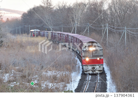 石北本線　遠軽－安国　JR貨物　DF200-61+コキ＋DF200-6（五稜郭） 137904361