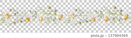 Horizontal seamless border with white daisies on an isolated background. Watercolor botanical illustration. Realistic repeating floral pattern for packaging, wallpaper, textiles, tableware. Horizontal seamless border with white daisies on an isolated background. Watercolor botanical illustration. Realistic repeating floral pattern for packaging, wallpaper, textiles, tableware. 137904369