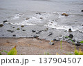 Rocky seacoast of the Sea of Okhotsk on the Kuril Islands in autumn, showing boulders, pebble shores and churning waves under a gray sky. 137904507