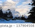 The photograph captures a serene, snow-covered coniferous forest on the Kuril Islands' coastline, featuring lush patches of Kuril bamboo against a clear sunset backdrop. 137904508