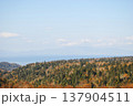 The photograph captures a breathtaking view of a sea bay and autumn forest on the Kuril Islands during sunset on a sunny day. 137904511