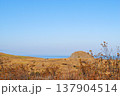 The photograph showcases a stunning view of a sea bay on the Kuril Islands, surrounded by lush vegetation, during a picturesque sunset on a sunny autumn day. 137904514