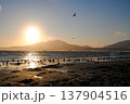 A picturesque sunset illuminates the coastline of a Kuril Islands bay on a sunny day. 137904516