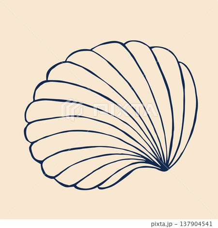 A whimsical vector illustration of a seashell, designed in a doodle style. A whimsical vector illustration of a seashell, designed in a doodle style. 137904541