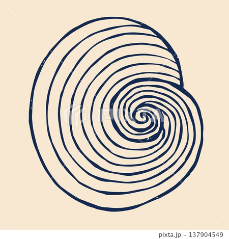 A whimsical vector illustration of a seashell, designed in a doodle style. A whimsical vector illustration of a seashell, designed in a doodle style. 137904549